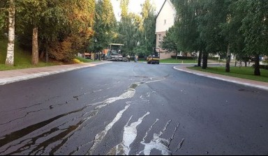 Спил дерева от Фортуна:  1 фото