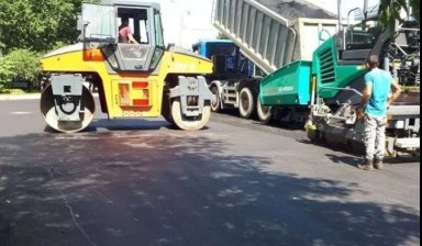 Спил дерева от DORSTROI-UFA: 1 фото