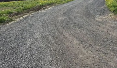 Спил дерева от Компания:  1 фото