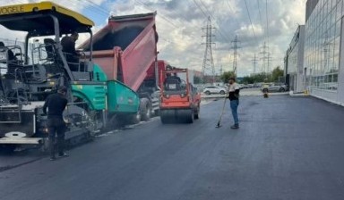 Спил дерева от ПензаДорСтрой:  1 фото