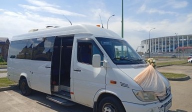 Микроавтобусы на свадьбу  c водителем от Амиго Драйв:  1 фото