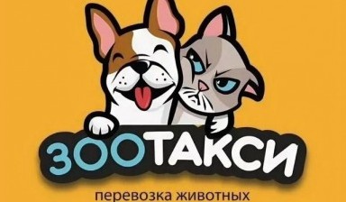 Объявление от Зоотакси: «Зоотакси» 1 фото