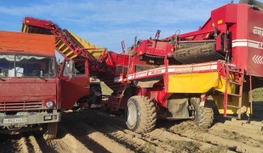 Объявление от Владимир Шкуратов: «Перевозка сыпучих грузов Камаз 5511» 3 фото