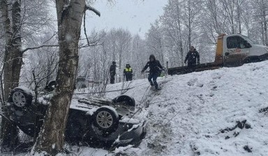 Эвакуаторы с подкатной тележкой от Максим: Газон 4 фото