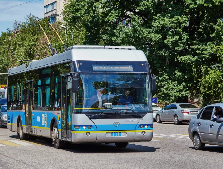 Жыныстық трелебус